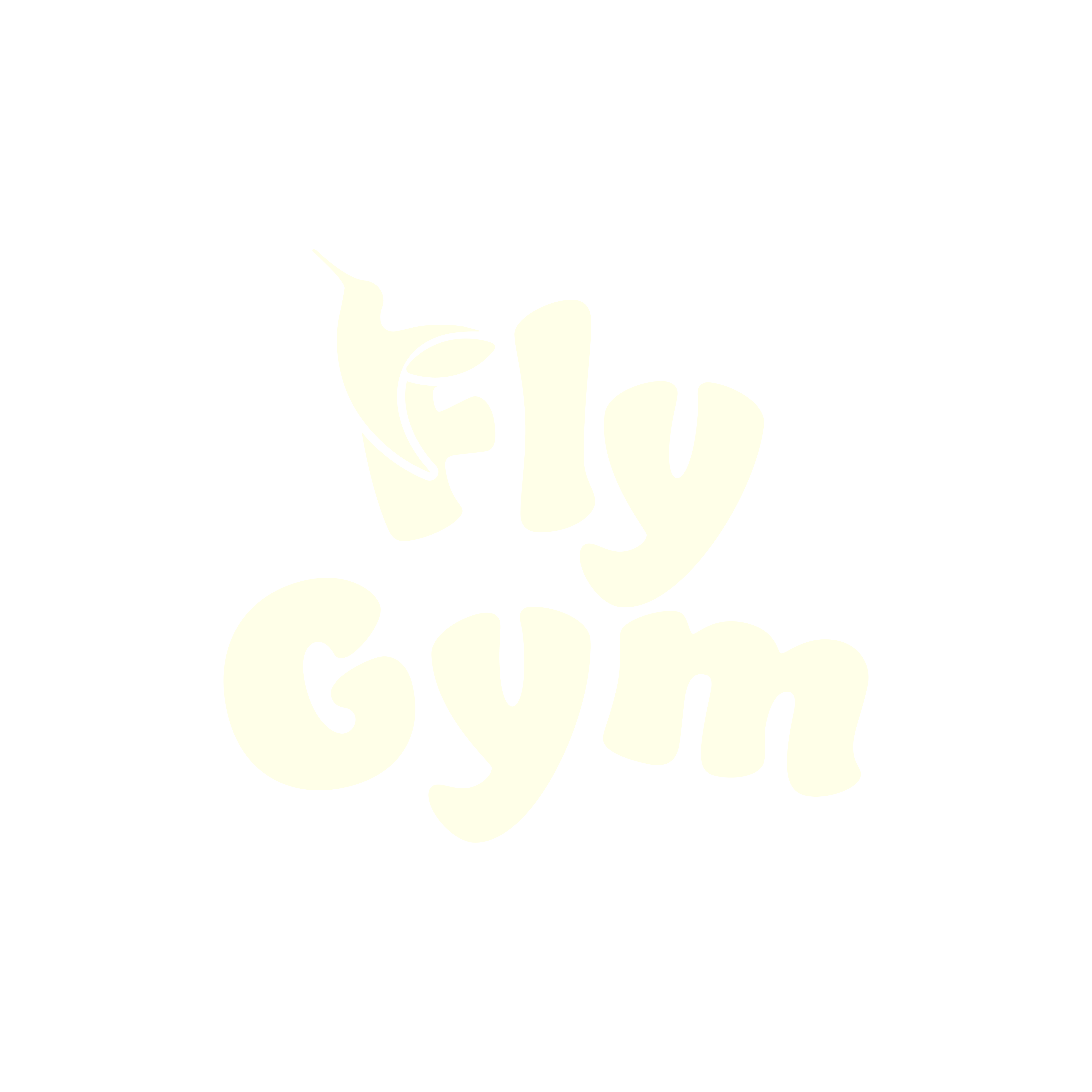 Fly Gym